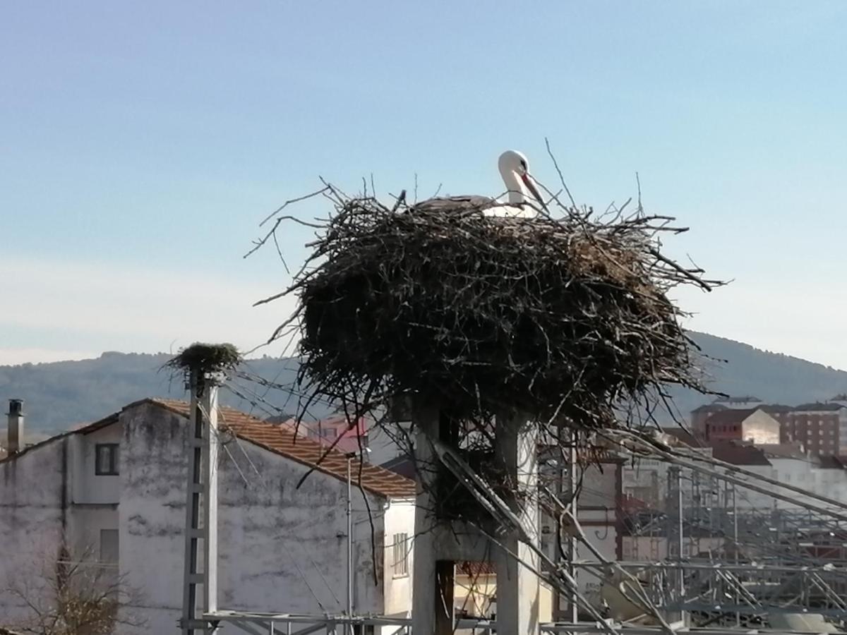Apartamento Lemavos Monforte De Lemos Extérieur photo